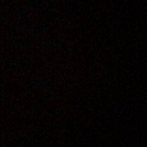 Meet your Posher, Adison